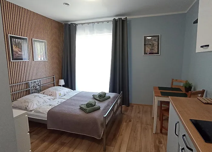 Idylla Goscinne Blisko Centrum